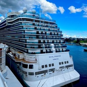 Meet your Posher, Osaro